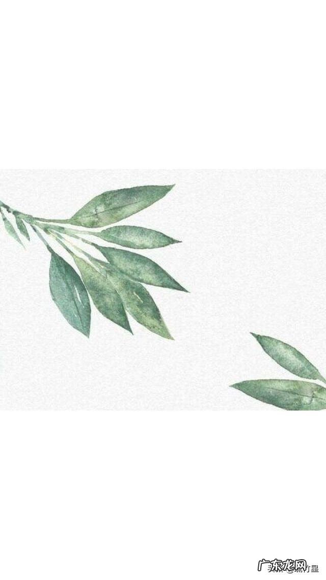 有哪些文艺到爆炸的句子?