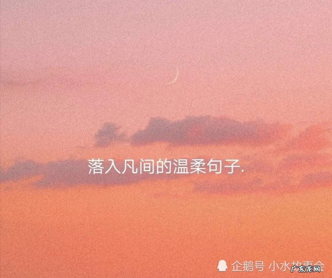 安静唯美有哲理的句子