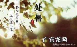 8月20日出伏,三天后处暑,出伏和处暑有什么习俗?