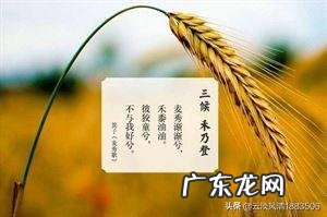 8月20日出伏,三天后处暑,出伏和处暑有什么习俗?