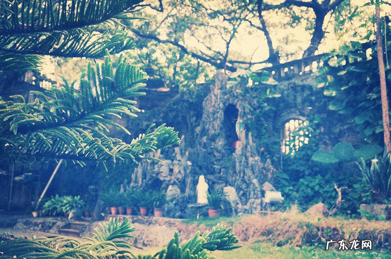 2022高中生早餐食谱大全：高中生早餐吃什么最好？ 转给家长 高中生营养早餐食谱大全