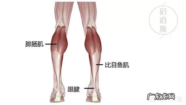如何能够拥有笔直的大长腿?