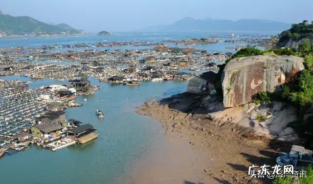 带鱼！带鱼！带鱼 带鱼产地哪里