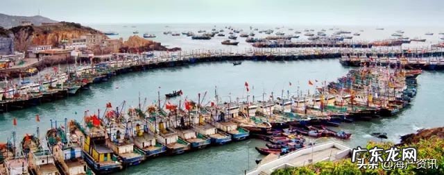 带鱼！带鱼！带鱼 带鱼产地哪里