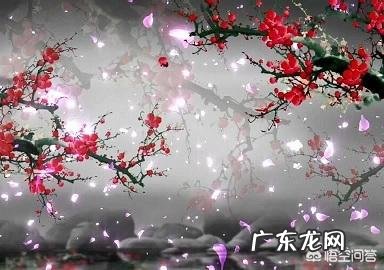 大家知道有什么关于春分的诗句吗?