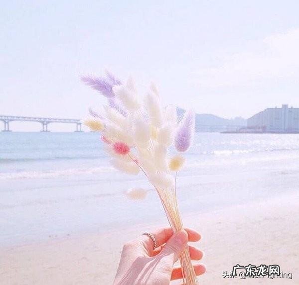 男人都想找一个自己爱的女人,为什么总是遇到不爱自己又玩弄感情的女人?