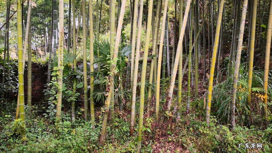 八角楼的建筑与结构 八角楼风水布置图解