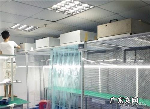 秀珍菇在哪里可以栽培?如何栽培?