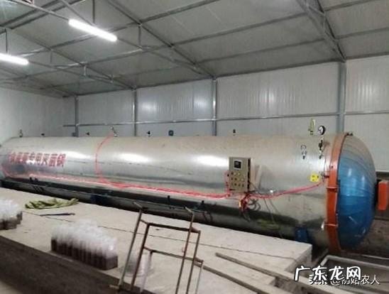 秀珍菇在哪里可以栽培?如何栽培?