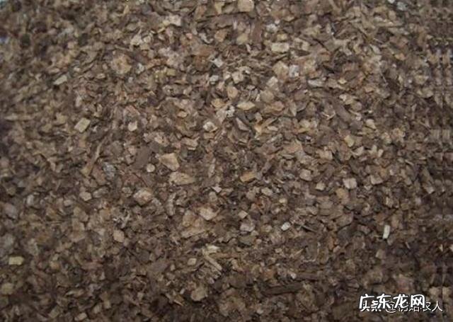 秀珍菇在哪里可以栽培？如何栽培？