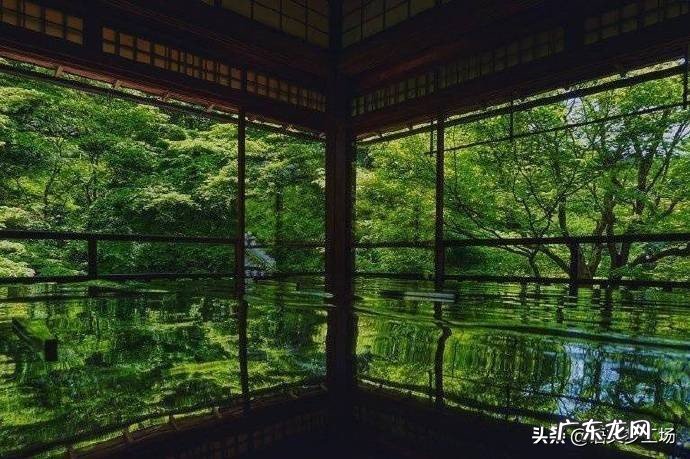 中考作文满分范文 中考满分优秀作文