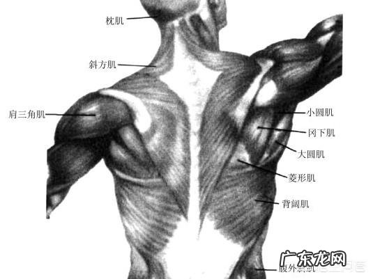 跑步如何控制呼吸方式和跑步姿势？