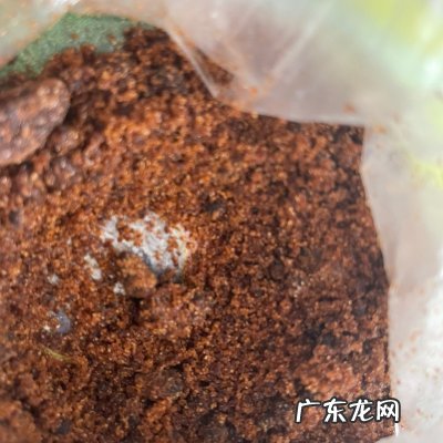 粽子的制作材料 做粽子的原料和方法