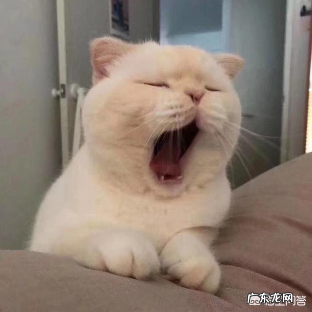 可以推荐好用的水乳吗?