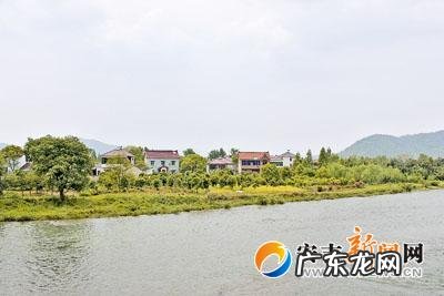 安吉洛四房:落在了诸家第四房 风水四房位置在哪