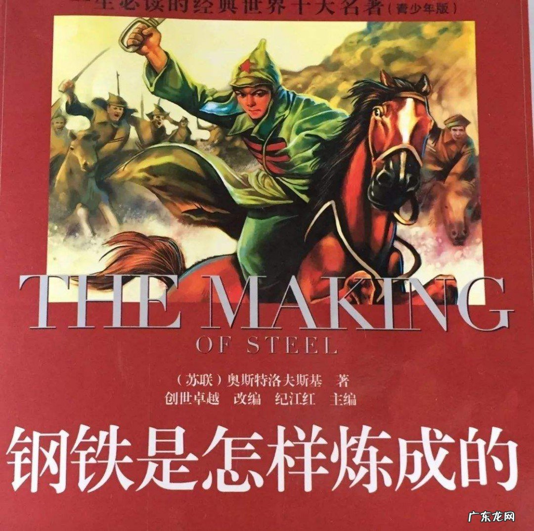 读《钢铁是怎样炼成的》有感