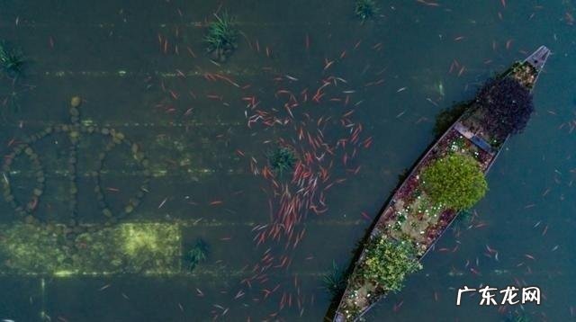 屋顶装水池的风水讲究 屋顶种鱼池风水好吗