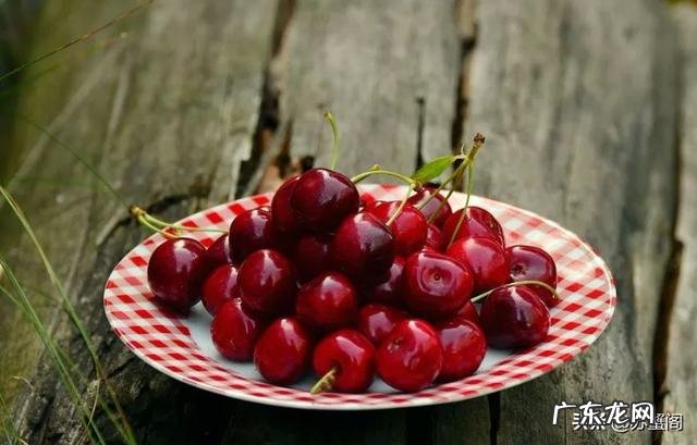 智利车厘子和我们国家的樱桃价格相差好几倍,两者区别在哪?