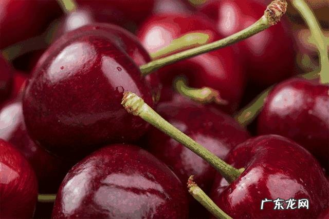 智利车厘子和我们国家的樱桃价格相差好几倍,两者区别在哪?