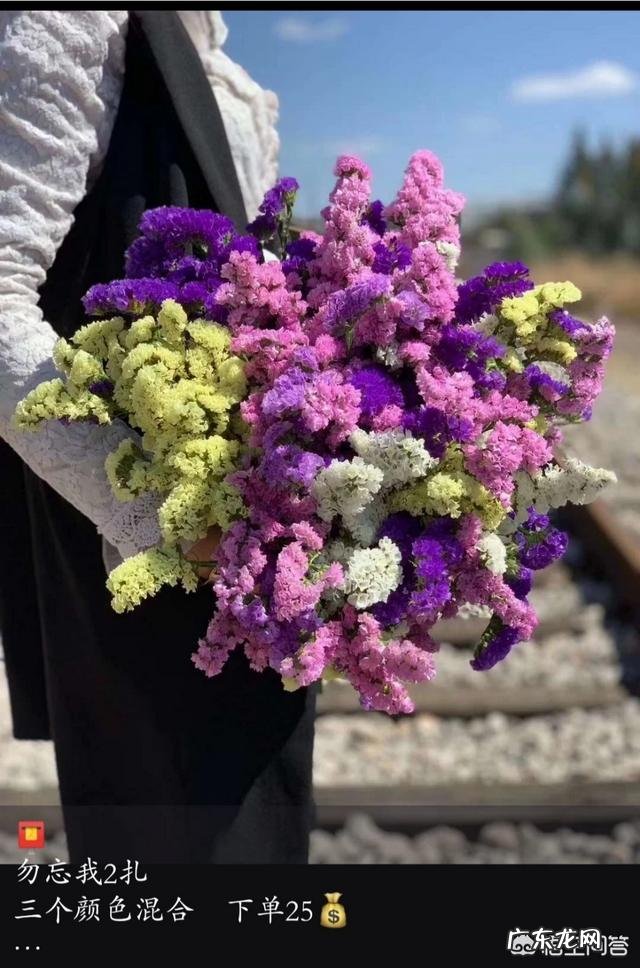 在深圳,去哪可以买到便宜的鲜花?