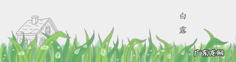 二十四节气中的“白露”在农村都有哪些说法?