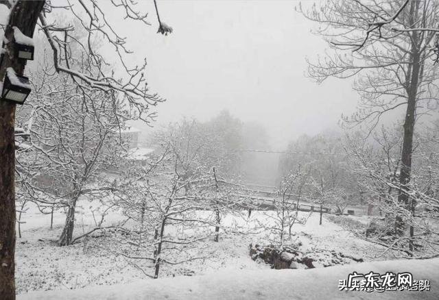 苹果花在0度会不会冻?