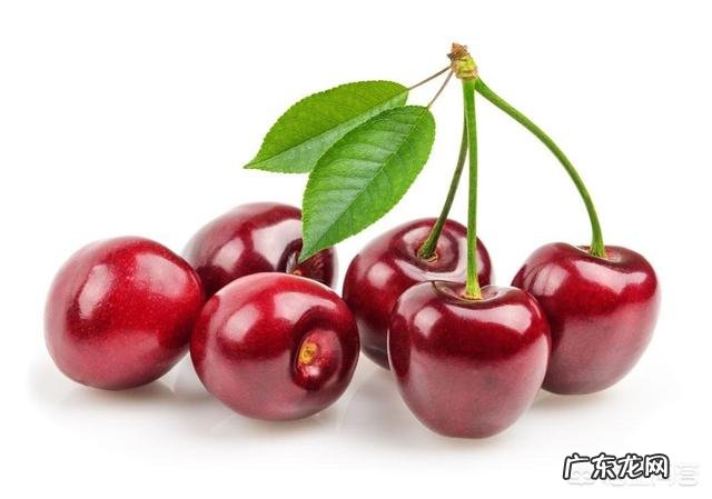 野樱桃古树桩适合做盆景素材吗?