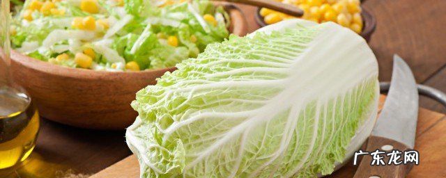 自己种白菜的方法