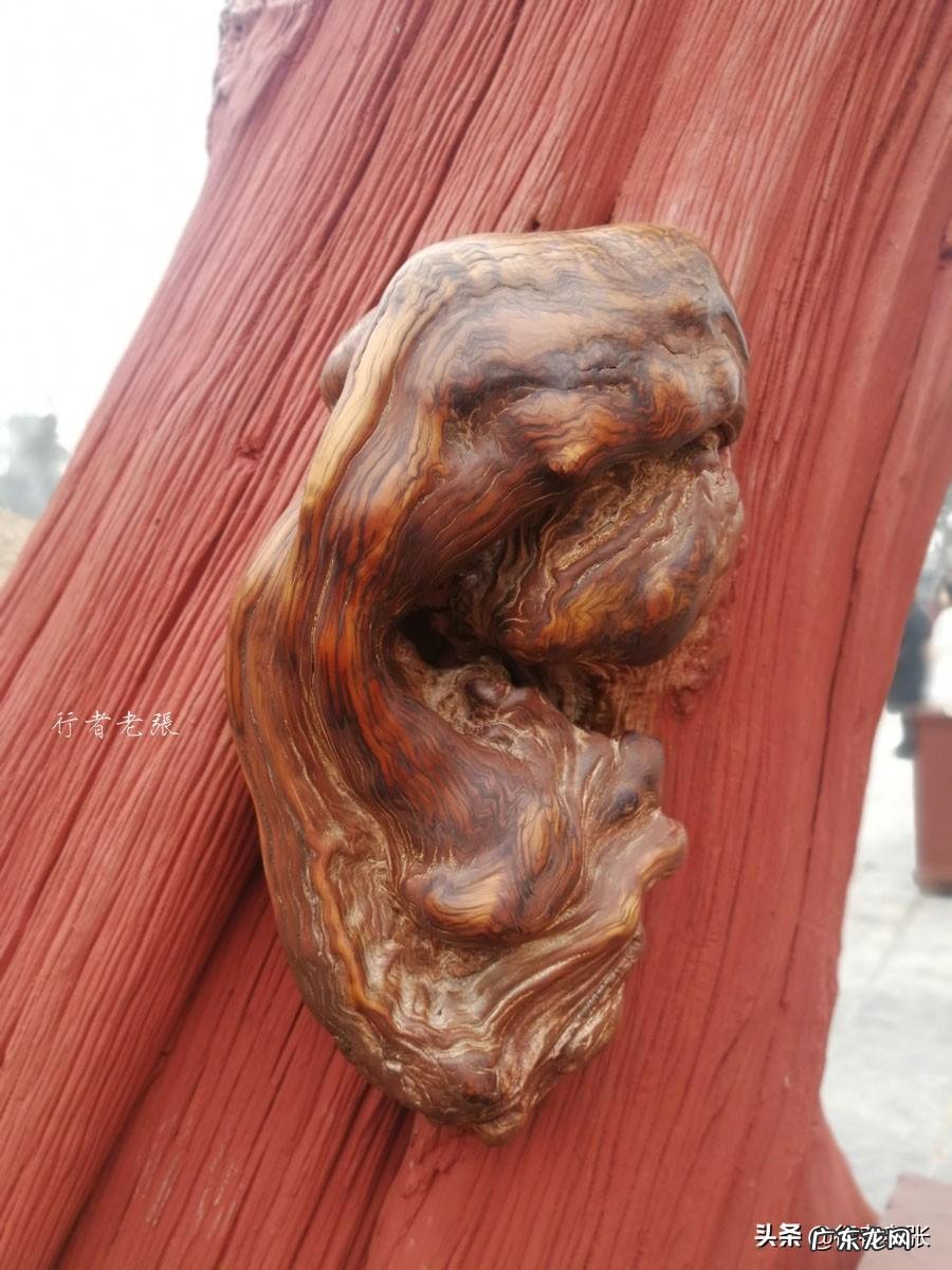 刘衍奎风水大师 陈国镇风水