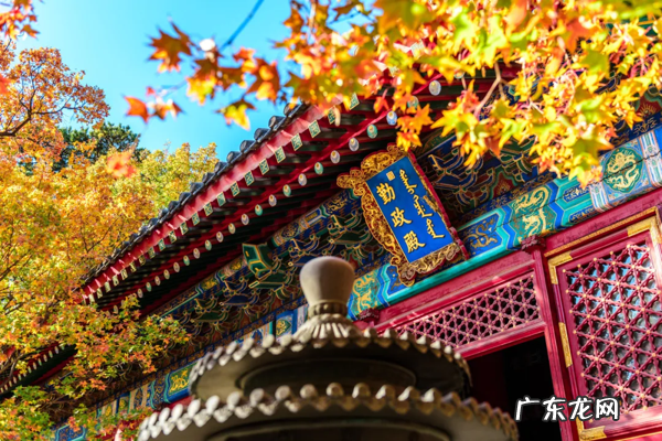 旅游的好去处 十一月旅游好去处