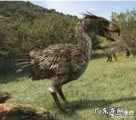 世界上有哪些长得恐怖的生物？