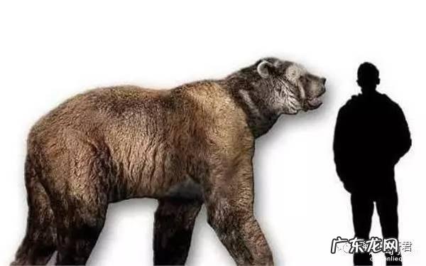 世界上有哪些长得恐怖的生物？