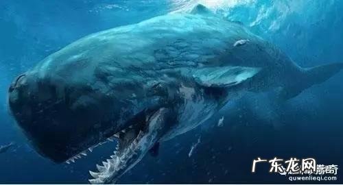 世界上有哪些长得恐怖的生物？