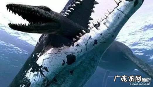 世界上有哪些长得恐怖的生物？