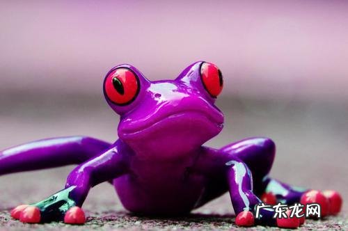 世界上有哪些长得恐怖的生物？