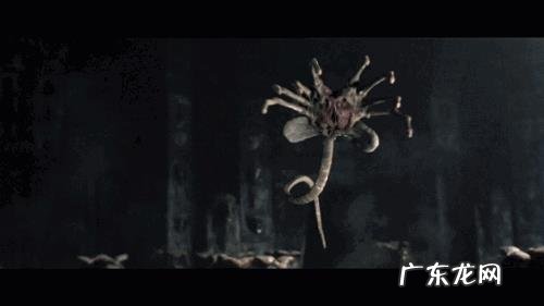 世界上有哪些长得恐怖的生物?