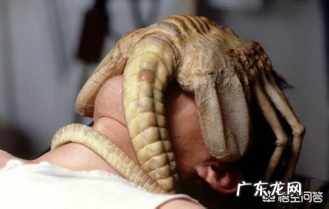 世界上有哪些长得恐怖的生物?