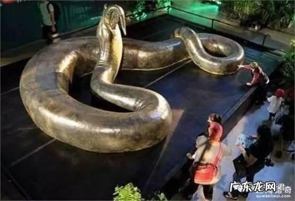 世界上有哪些长得恐怖的生物？