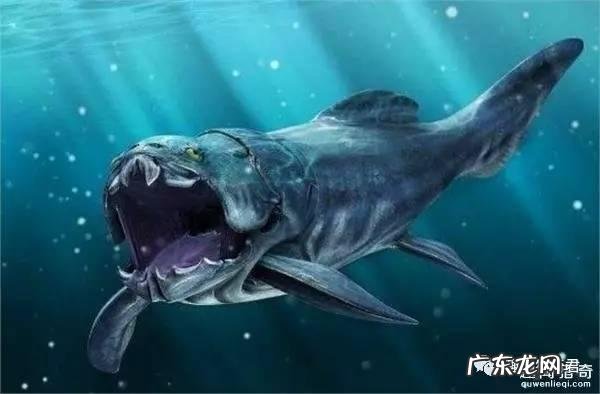 世界上有哪些长得恐怖的生物？