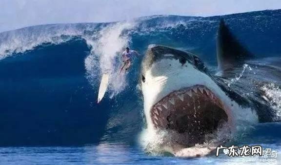 世界上有哪些长得恐怖的生物？