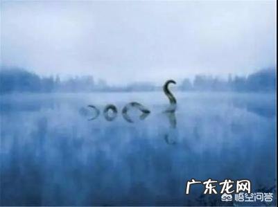 世界上有哪些长得恐怖的生物？