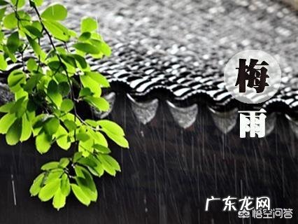 梅雨季节来临,梅雨对农业生产上是利大于弊,还是弊大于利?