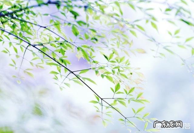 关于秋的美文有哪些？