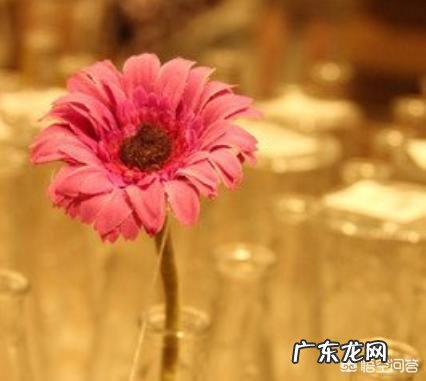 关于秋的美文有哪些？