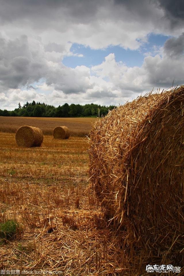 关于秋的美文有哪些?