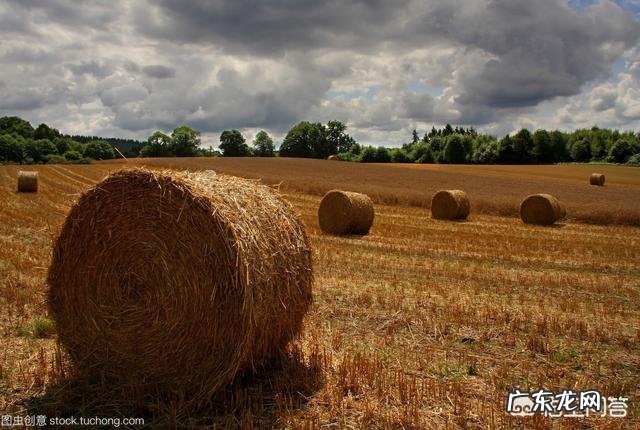 关于秋的美文有哪些？