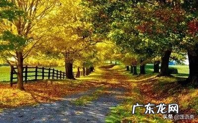 关于秋的美文有哪些?