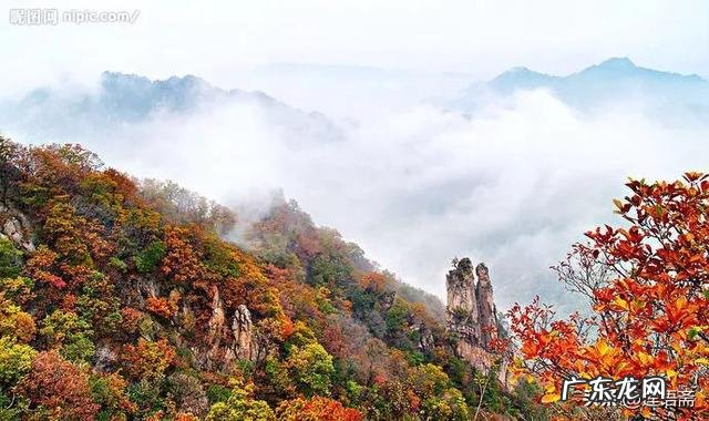 关于秋的美文有哪些?