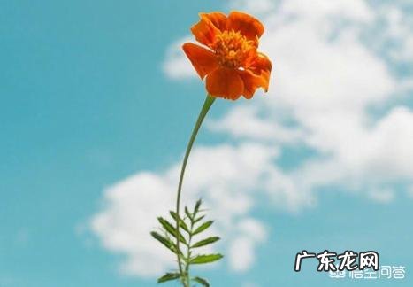 关于秋的美文有哪些？