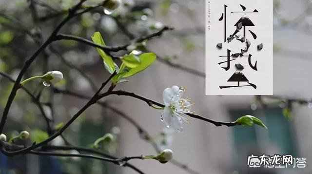 农村俗语“惊蛰不耕地,好似蒸馍跑了气”是什么意思?有什么道理吗?